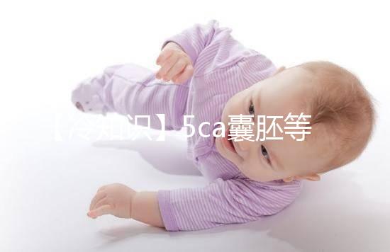 【冷知識】5ca囊胚等級低,質(zhì)量并不能代表成功率