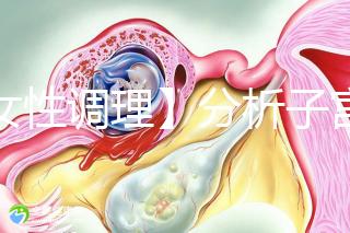 【女性調理】分析子宮壁薄的四個常見原因，教你三招對癥下藥可以快速改善！