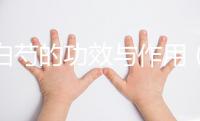 炒白芍的功效與作用（炒白芍補(bǔ)血還是補(bǔ)氣）