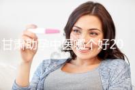 甘肅助孕中醫哪個好2024，成功率高又便宜？