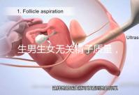 生男生女無關(guān)精子質(zhì)量，分享成功懷男孩的4個細(xì)節(jié)經(jīng)驗