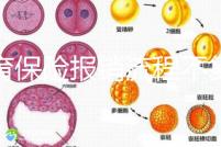 生育保險報銷流程不復(fù)雜，辦理地點不分地域異地可報銷