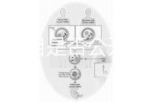 監(jiān)獄項目是否公開招標(biāo)(監(jiān)獄項目是否公開招標(biāo)文件)
