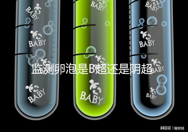 監(jiān)測卵泡是B超還是陰超？陰道超聲和腹部超聲的區(qū)別不止探頭