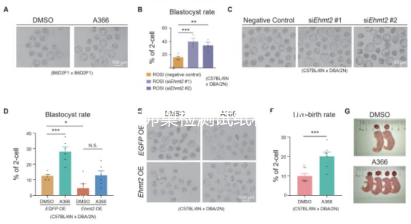 盤點(diǎn)卵巢檢測(cè)試紙和排卵試紙的區(qū)別,哪個(gè)更準(zhǔn)確