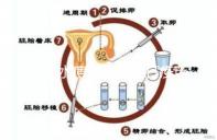盤點水痘潛伏期能打疫苗嗎，盲目接種水痘疫苗作用不大