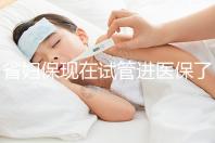 省婦?，F在試管進醫保了嗎