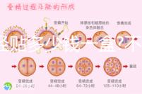 痛經(jīng)貼多少錢一盒?不同品牌痛經(jīng)貼價格盤點