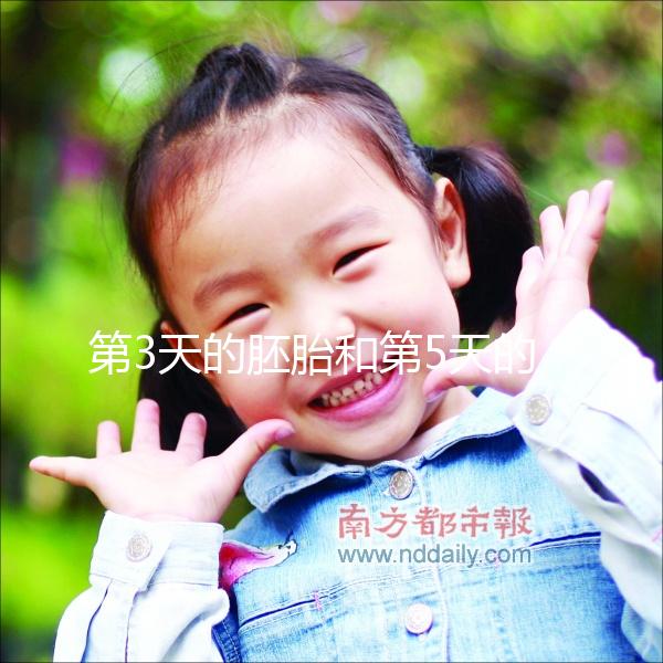 第3天的胚胎和第5天的囊胚，到底該怎么選成功率才高？