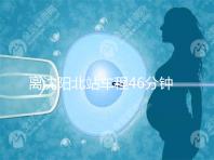 離沈陽北站車程46分鐘！沈陽菁華醫院地址及路線一覽