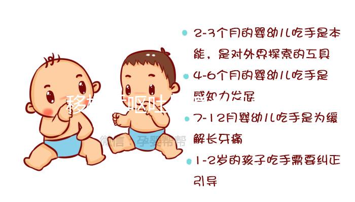 移植后嘔吐是怎么回事？這3大原因別忽視，選對治療方案可促著床！