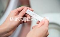 移植5天囊胚算孕周和預產期有訣竅，專家：用這2種方法