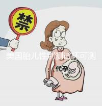 美國胎兒性別測試杯可測男女?是真是假看完便知