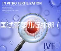 美國(guó)試管嬰兒促排卵（美國(guó)試管嬰兒促排卵常用什么藥物）