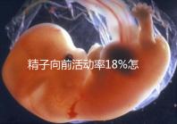 精子向前活動率18%怎么辦？專家總結(jié)調(diào)理 治療全攻略