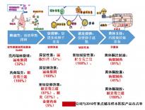 精子濃度高需及時治療，搭配飲食調理助你突破生育危機