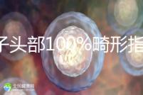 精子頭部100%畸形指數(shù)1.69，試管這條路還能通