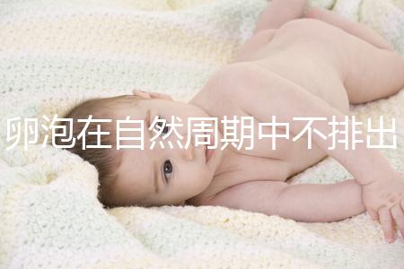 卵泡在自然周期中不排出可以移植快速get嗎？取卵好看嗎？