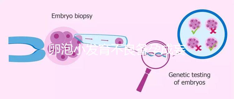 卵泡小發(fā)育不良備孕成妄想，閉鎖卵泡早檢查早治療