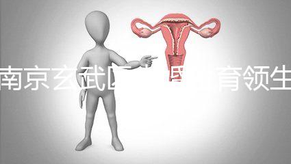 南京玄武區(qū)未婚生育領生育金看條件，社會撫養(yǎng)費交不了多少