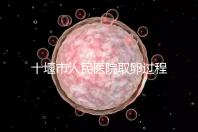 十堰市人民醫(yī)院取卵過程詳解，三種情況可全身麻醉