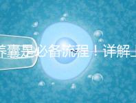 養囊是必備流程！詳解上海集愛試管嬰兒全過程