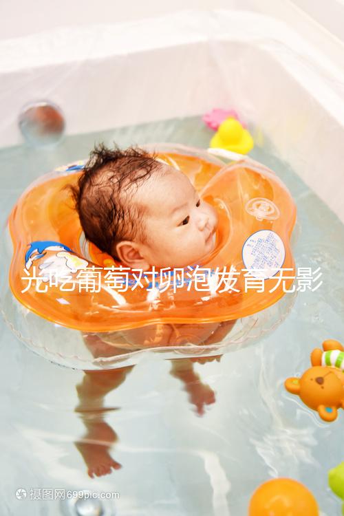 光吃葡萄對卵泡發育無影響,不妨試試葡萄籽(附對卵巢好處)