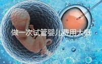 做一次試管嬰兒費用大概多少 試管嬰兒費用受四因素影響