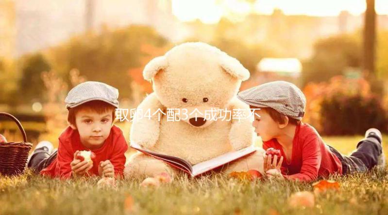 取卵4個配3個成功率不低，養出優質胚胎做試管好孕機會更大