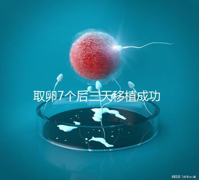 取卵7個后三天移植成功率真不低，關鍵要滿足這5大條件