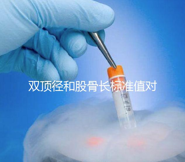 雙頂徑和股骨長標準值對照表,各懷孕周數(shù)差異明顯