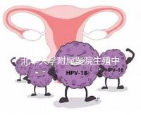 北華大學附屬醫院生殖中心試管怎么樣？2024年助孕成功率參考