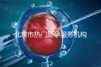 北京市熱門助孕服務(wù)機(jī)構(gòu)排名榜單！這三家性價(jià)比比較出眾！