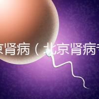 北京腎?。ū本┠I病專家排名）