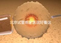 北京試管哪家醫院好看這，303醫院、北醫三院值得推薦