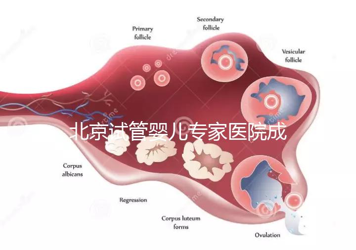 北京試管嬰兒專家醫(yī)院成功率高嗎，醫(yī)院推薦與費用解析