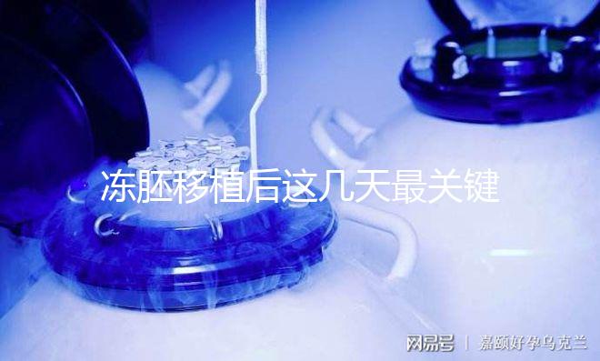 凍胚移植后這幾天最關鍵！一文揭秘重要原因