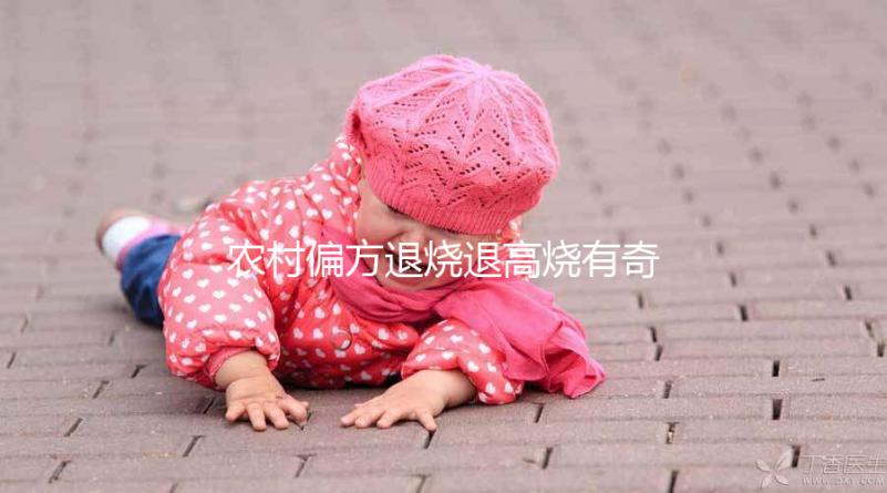 農村偏方退燒退高燒有奇效，路邊常見退燒草別還不認識