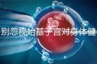 別忽視始基子宮對身體健康的影響！這3大危害千萬要重視