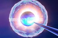 剛剛出爐！2024泰國試管嬰兒醫(yī)院最新排行榜