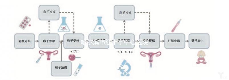 哈爾濱市紅十字中心醫(yī)院試管怎么樣?2024年助孕成功率數(shù)據共享
