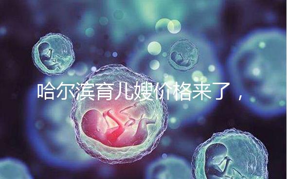 哈爾濱育兒嫂價格來了，公司排行榜top1多少錢看完了解