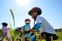 唐氏篩查結果為高危有3個解決方法，山東費用只需兩百