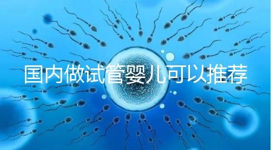 國內做試管嬰兒可以推薦幾家好的醫(yī)院嗎
