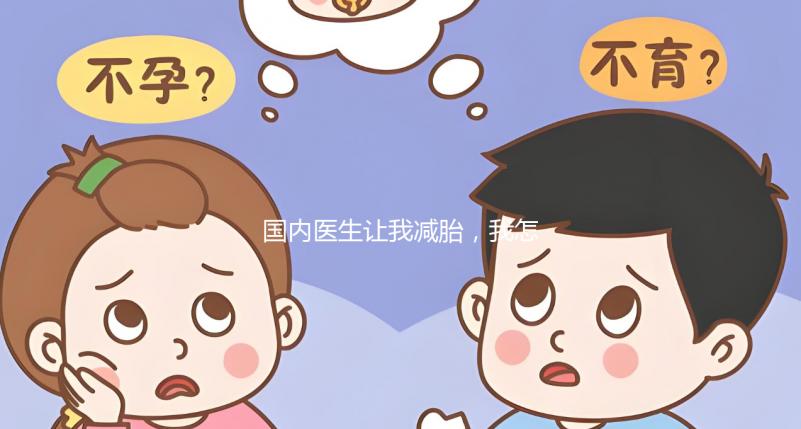 國內醫生讓我減胎，我怎么能一次生兩個孩子呢？