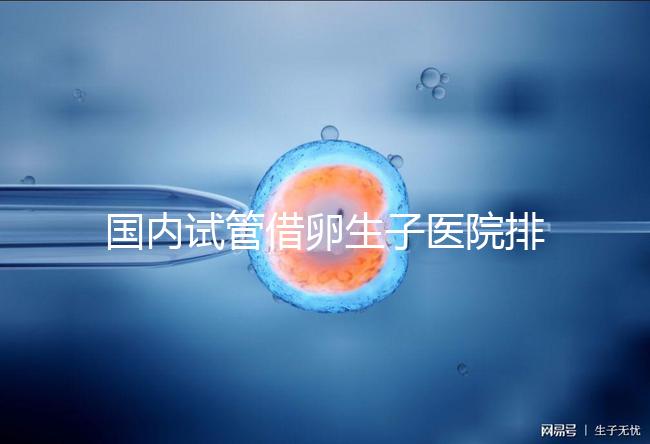 國(guó)內(nèi)試管借卵生子醫(yī)院排名(附熱門(mén)醫(yī)院推薦)