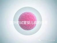 國外的試管嬰兒真的很有優勢嗎（國外的試管嬰兒真的很有優勢嗎視頻）