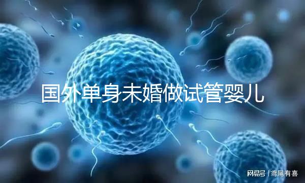 國外單身未婚做試管嬰兒價(jià)格多少?附試管費(fèi)用明細(xì)