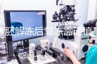 囊胚解凍后復凍需謹慎，這些對胚胎質量的影響不可不知