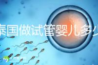 在泰國(guó)做試管嬰兒多少錢(qián)（在泰國(guó)做試管嬰兒多少錢(qián)？）